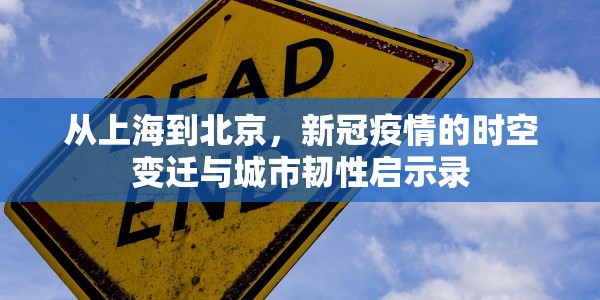 从上海到北京，新冠疫情的时空变迁与城市韧性启示录