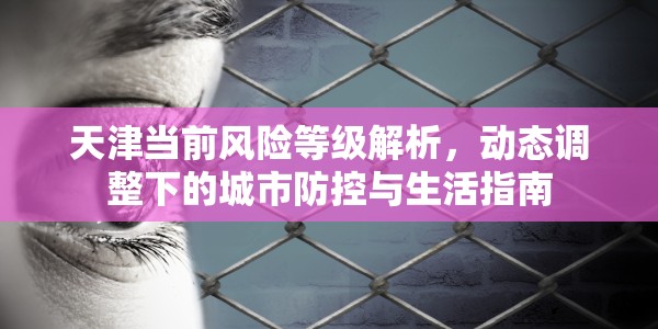天津当前风险等级解析，动态调整下的城市防控与生活指南
