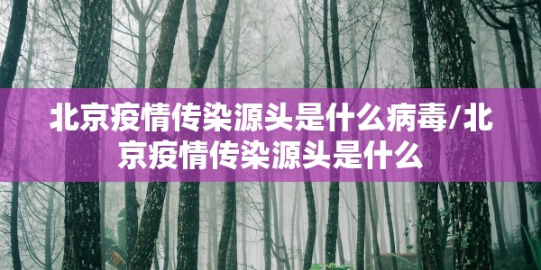 北京疫情传染源头是什么病毒/北京疫情传染源头是什么