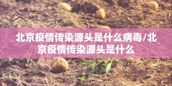 北京疫情传染源头是什么病毒/北京疫情传染源头是什么