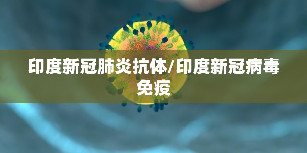 行程码要下线了吗？怎么处理？一文读懂最新政策与个人应对指南