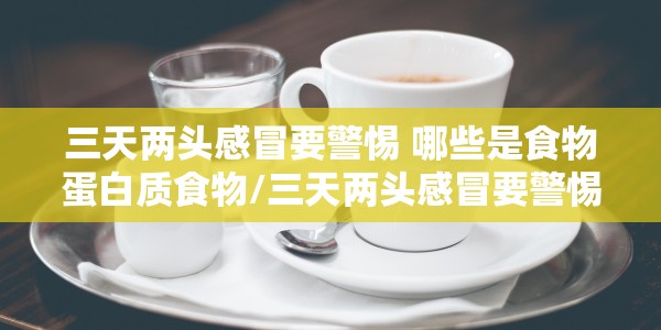 三天两头感冒要警惕 哪些是食物蛋白质食物/三天两头感冒要警惕