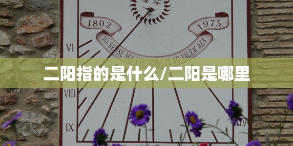 陕西今日无新增/陕西今日无新增病例