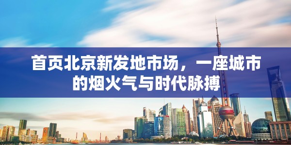 南京大学金陵学院教务管理学生平台，数字化校园的智慧枢纽与未来展望
