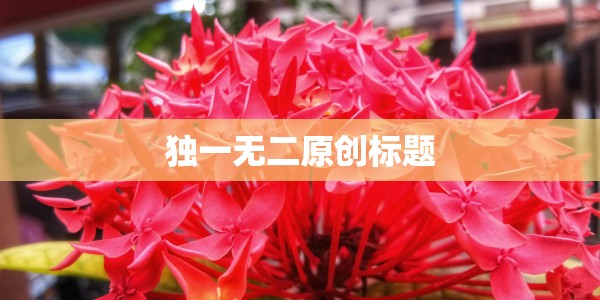 洛阳电影院今日放映表（洛阳电影院今日放映表新都汇有回廊亭展映）