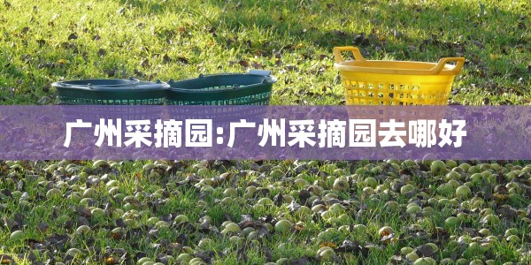 广州采摘园:广州采摘园去哪好