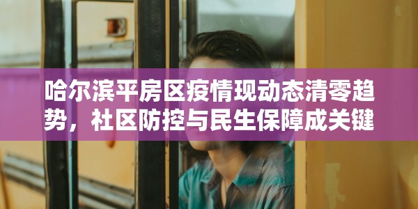 哈尔滨平房区疫情现动态清零趋势，社区防控与民生保障成关键焦点