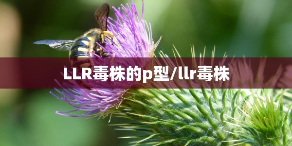天津新增1例本土确诊病例是哪里的/天津新增1例本土确诊病例是哪里的病例