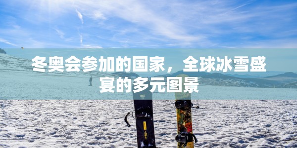 冬奥会参加的国家，全球冰雪盛宴的多元图景