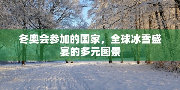 冬奥会参加的国家，全球冰雪盛宴的多元图景