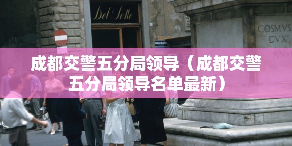 成都交警五分局领导（成都交警五分局领导名单最新）