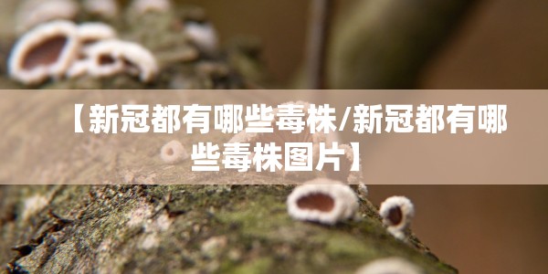 垣曲有疫情吗（垣曲有疫情吗现在）