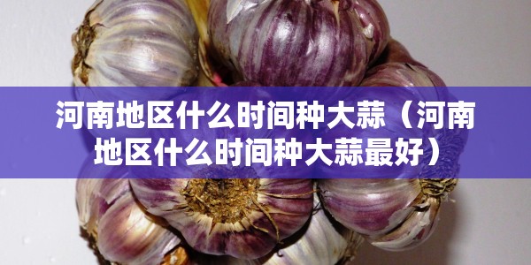 河南地区什么时间种大蒜（河南地区什么时间种大蒜最好）