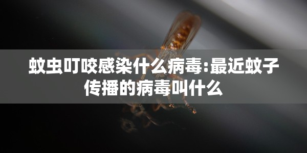 蚊虫叮咬感染什么病毒:最近蚊子传播的病毒叫什么