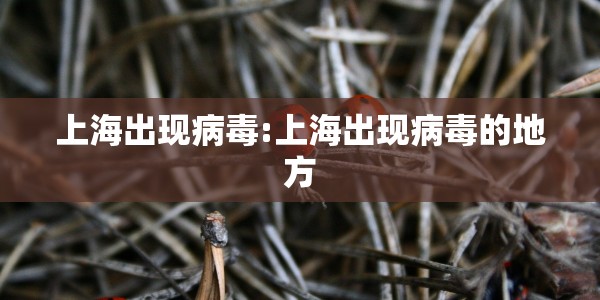 上海出现病毒:上海出现病毒的地方