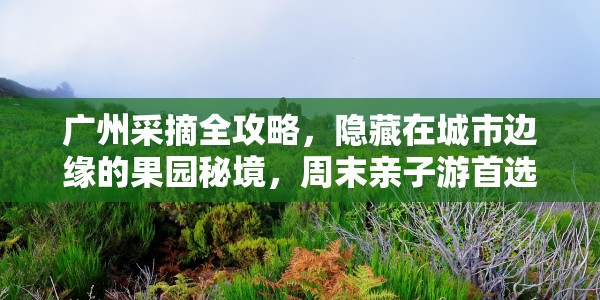 广州采摘全攻略，隐藏在城市边缘的果园秘境，周末亲子游首选地！