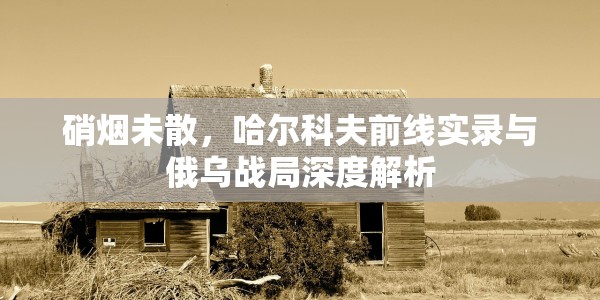 硝烟未散，哈尔科夫前线实录与俄乌战局深度解析
