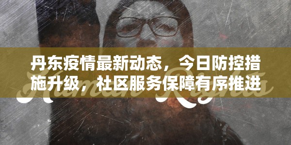 丹东疫情最新动态，今日防控措施升级，社区服务保障有序推进