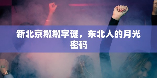 新北京粼粼字谜，东北人的月光密码