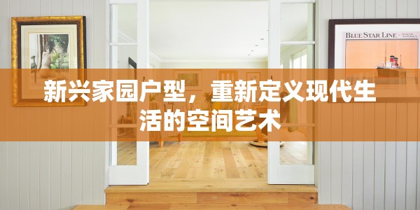 新兴家园户型，重新定义现代生活的空间艺术