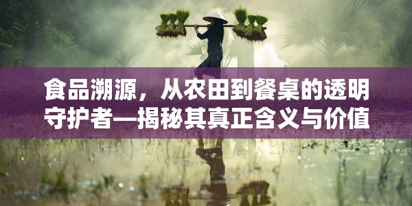 食品溯源，从农田到餐桌的透明守护者—揭秘其真正含义与价值