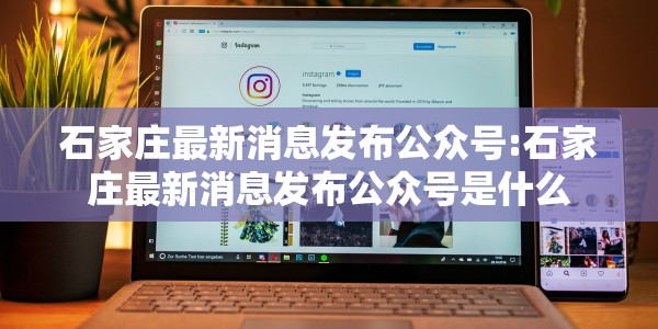 石家庄最新消息发布公众号:石家庄最新消息发布公众号是什么
