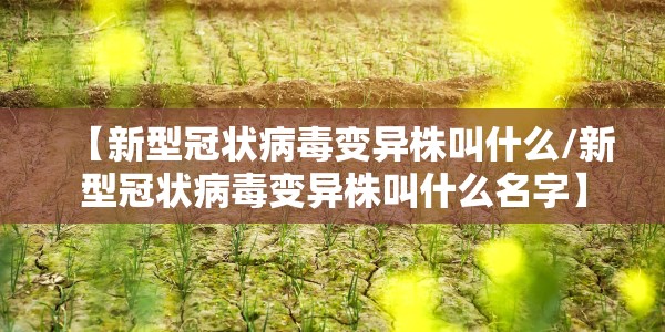 【新型冠状病毒变异株叫什么/新型冠状病毒变异株叫什么名字】