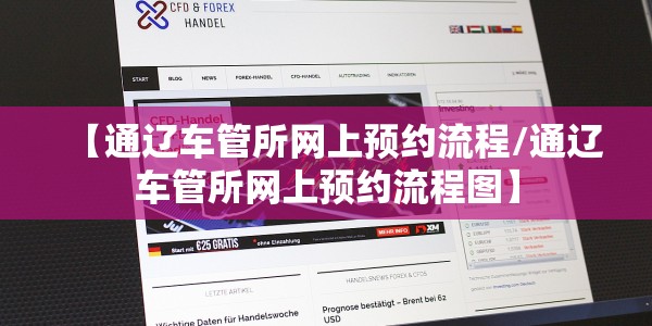 【通辽车管所网上预约流程/通辽车管所网上预约流程图】